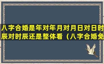 八字合婚是年对年月对月日对日时辰对时辰还是整体看（八字合婚免费算命生辰八字 🌼 婚姻）